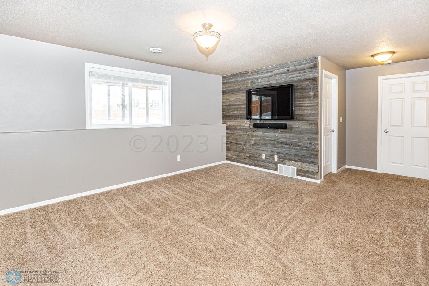 Lower level living area