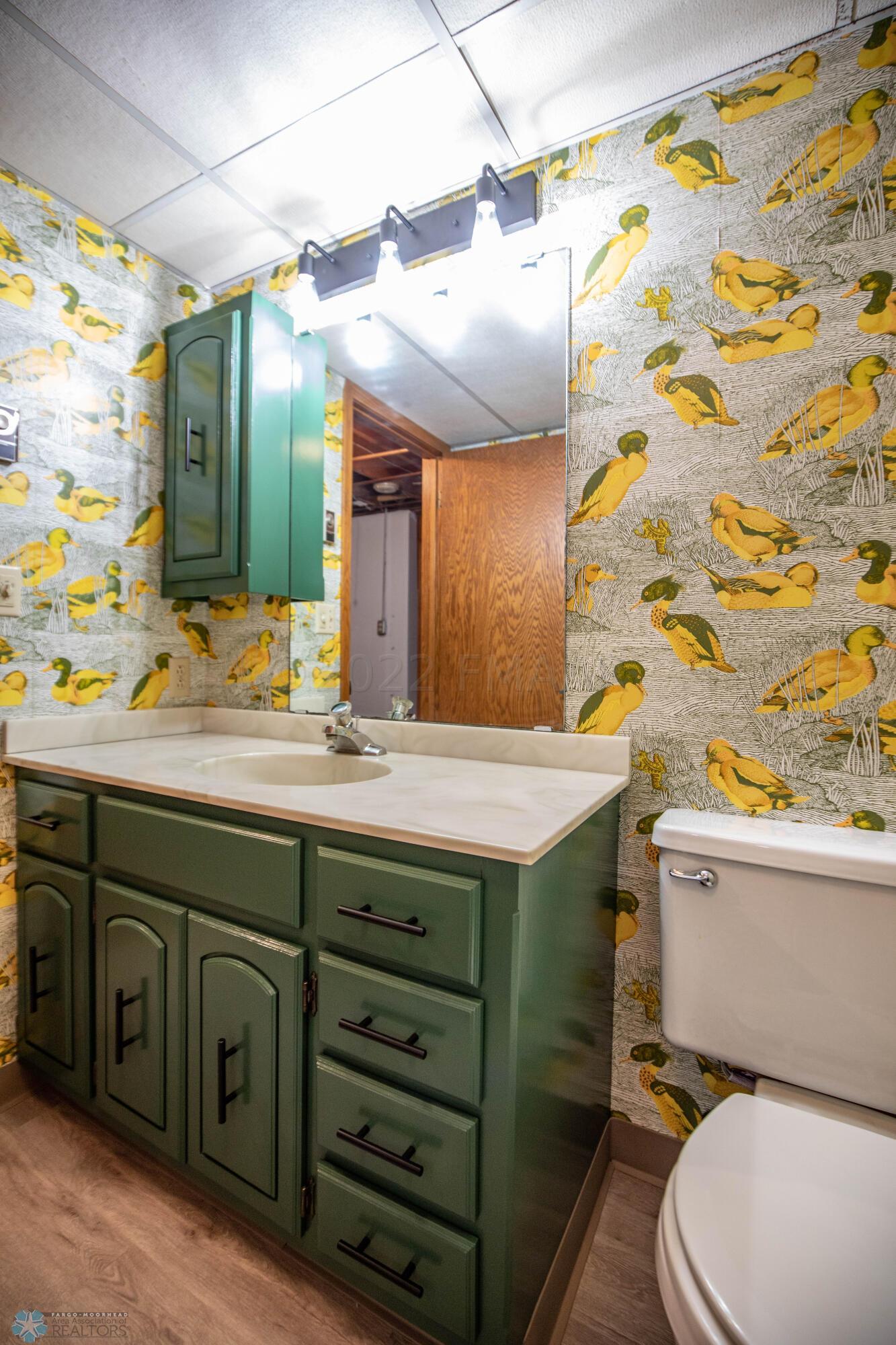 Basement Bathroom
