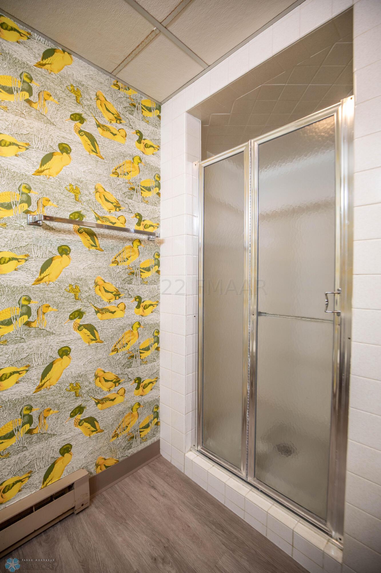Basement Bathroom