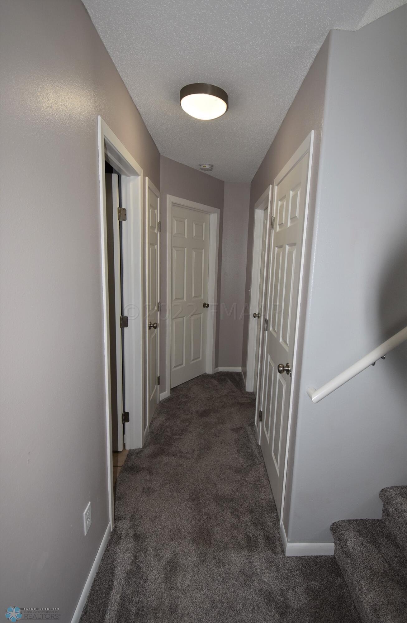 Basement - New Carpet