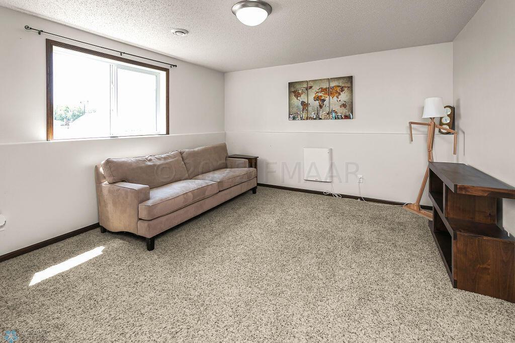 Lower level Family Room