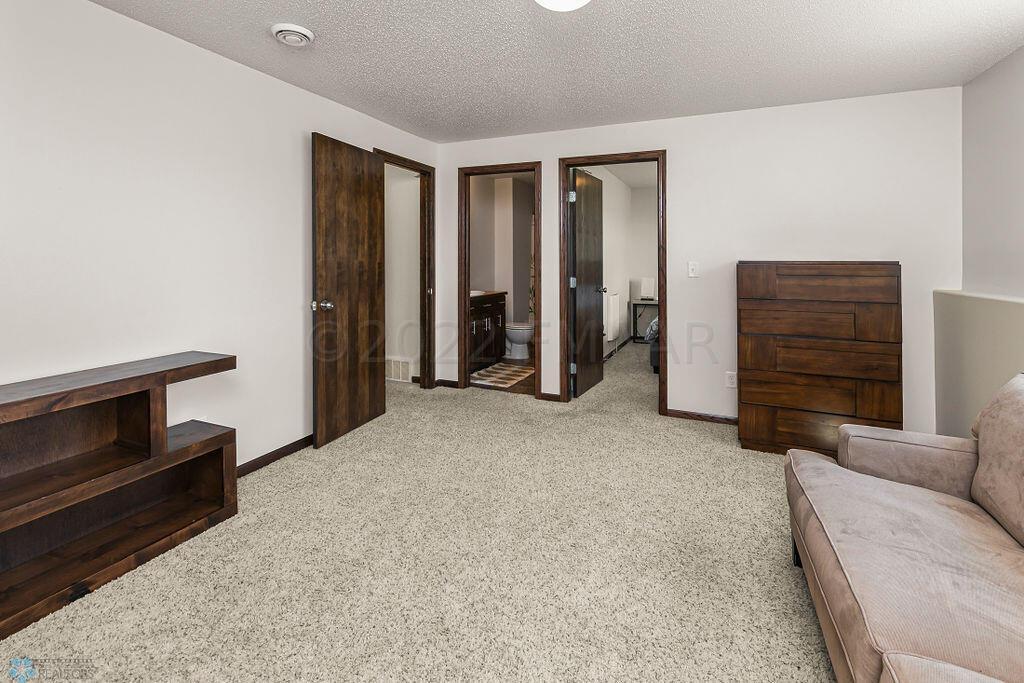 Lower level Family Room