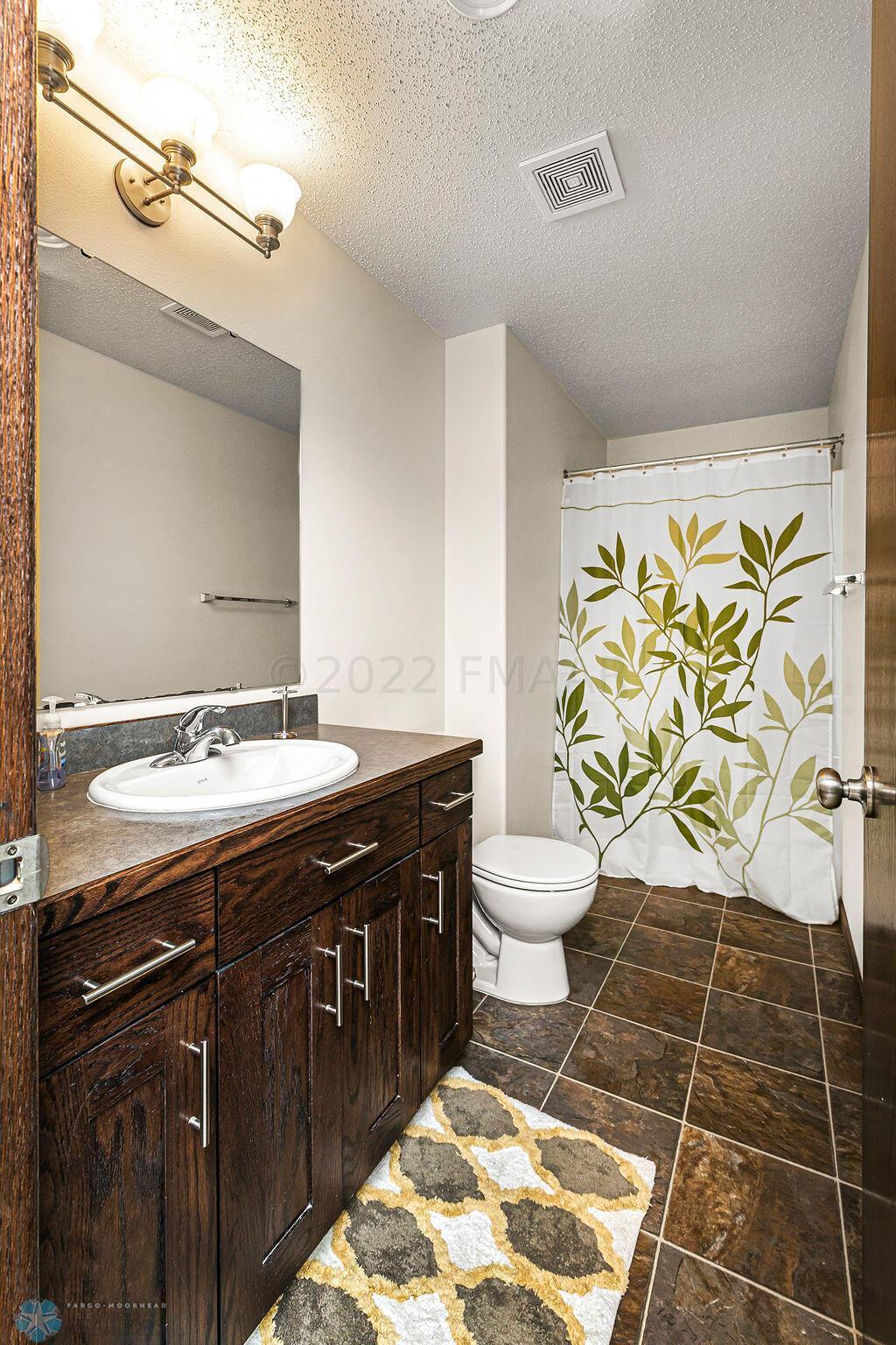 Lower level Bathroom
