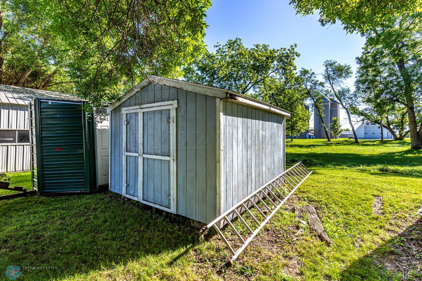 back yard