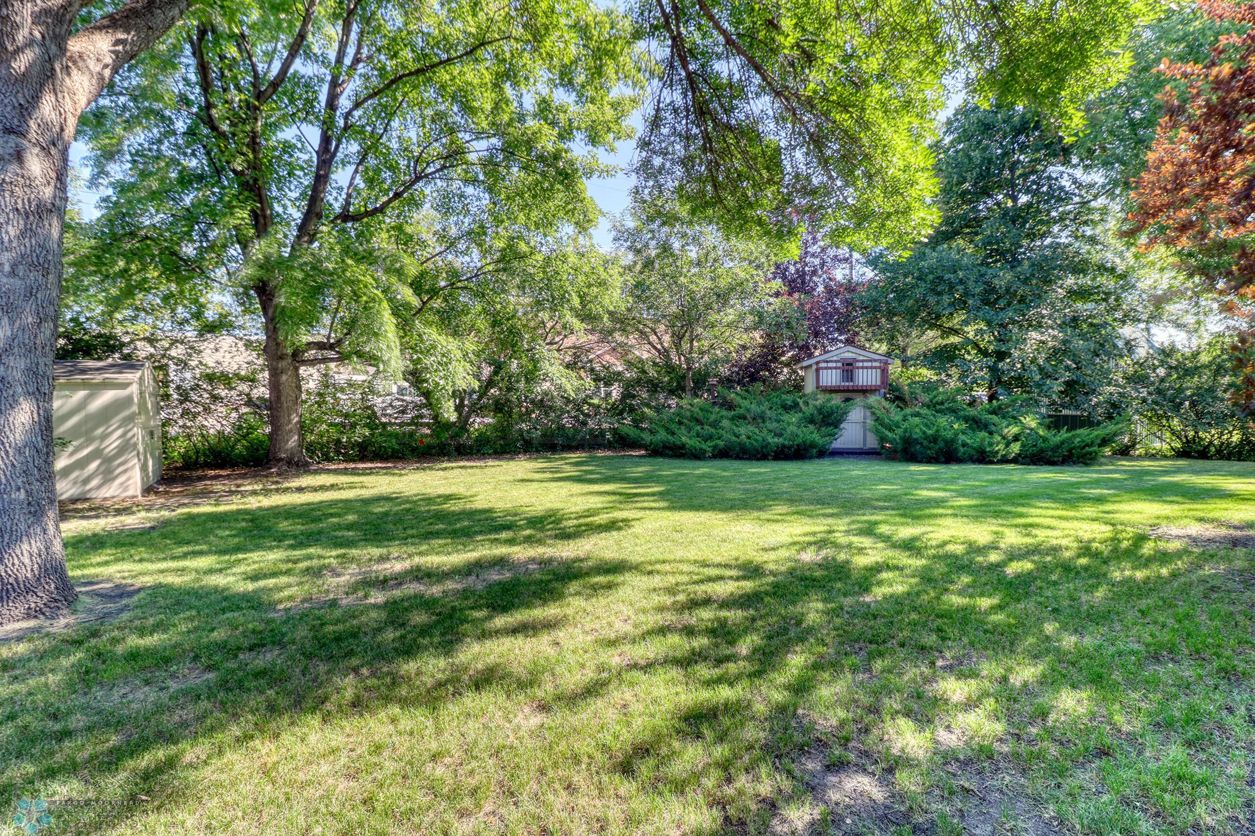 Backyard1_4