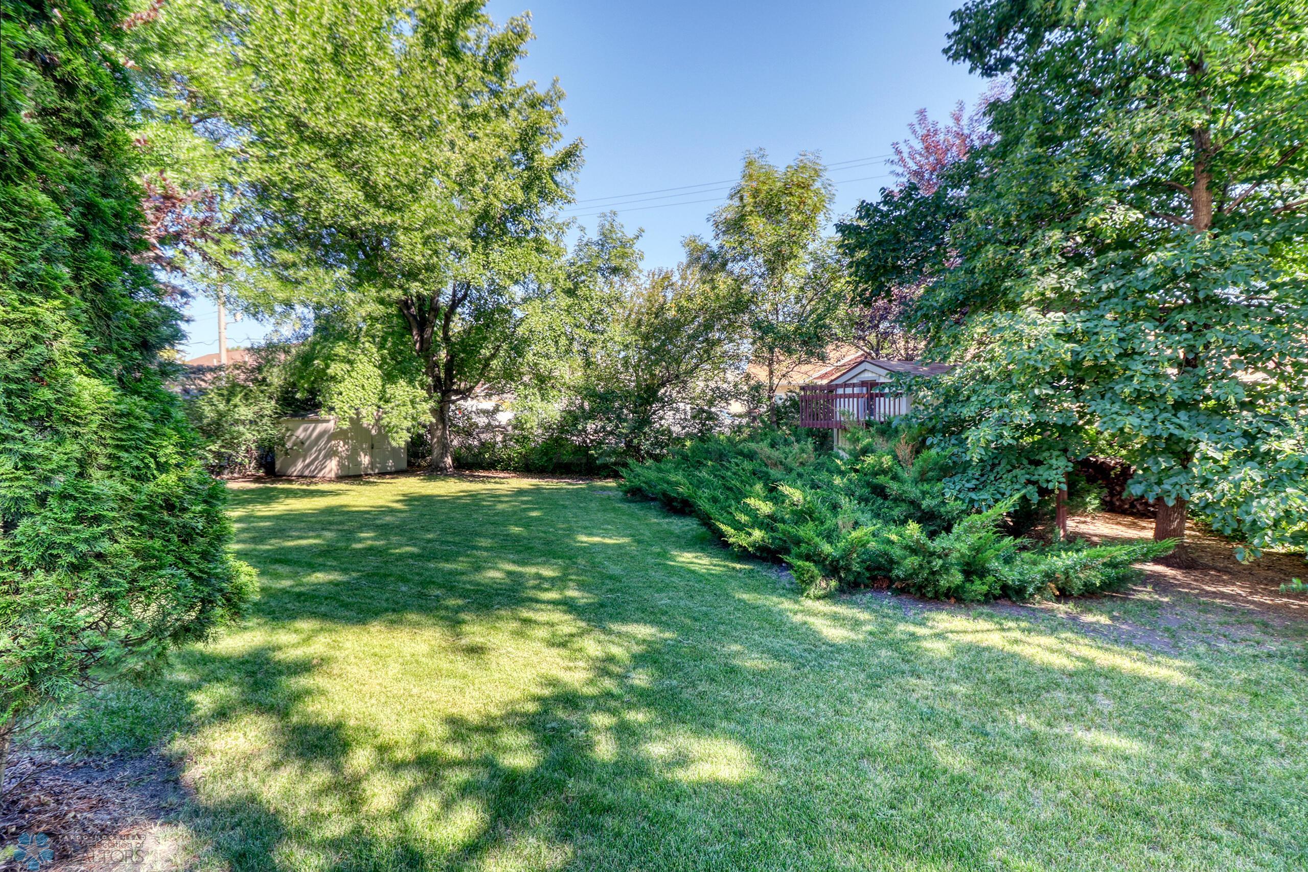 Backyard1_3