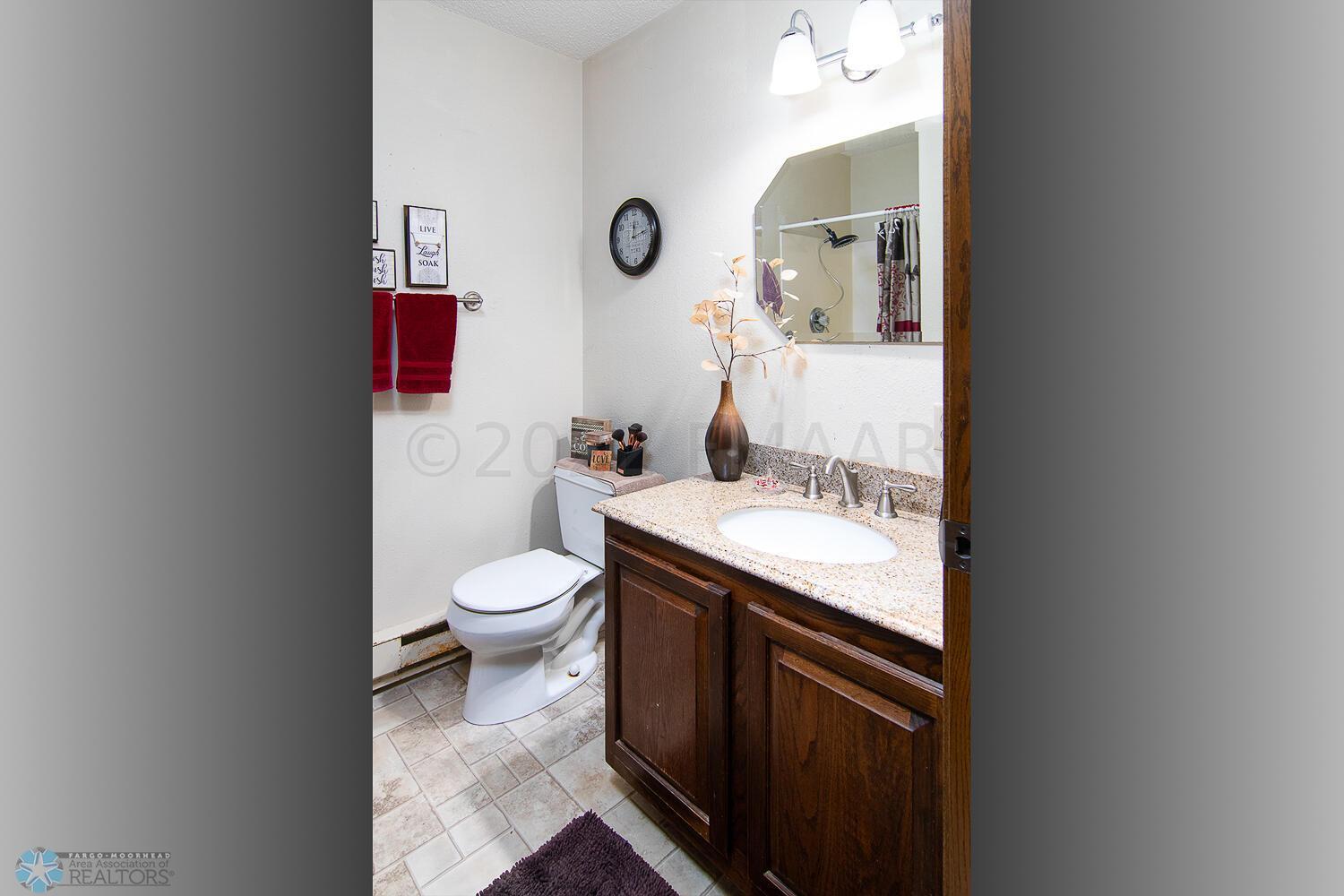 Lower level bathroom