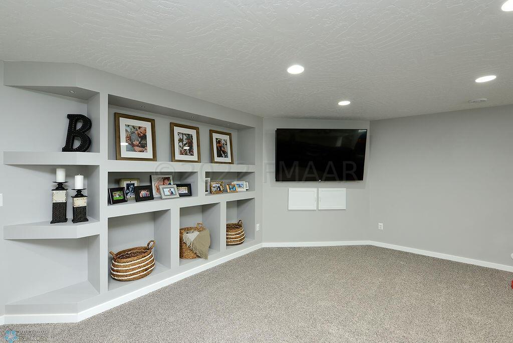 Basement TV Area