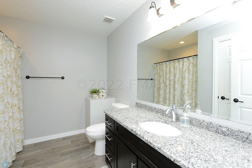 Basement Bathroom