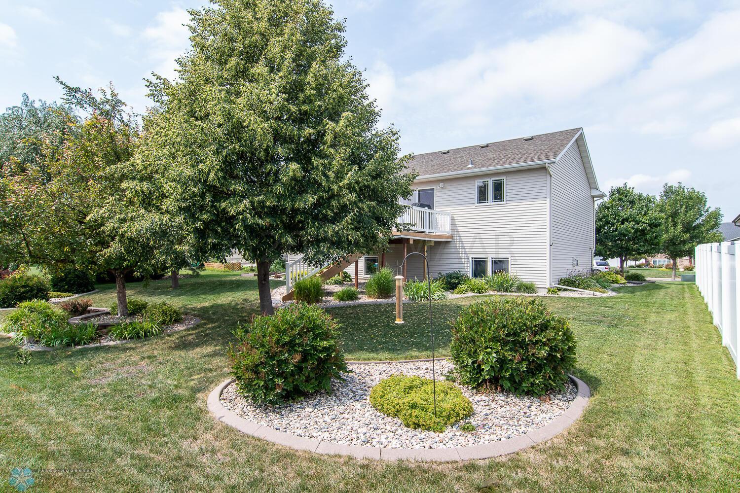 Back of Yard