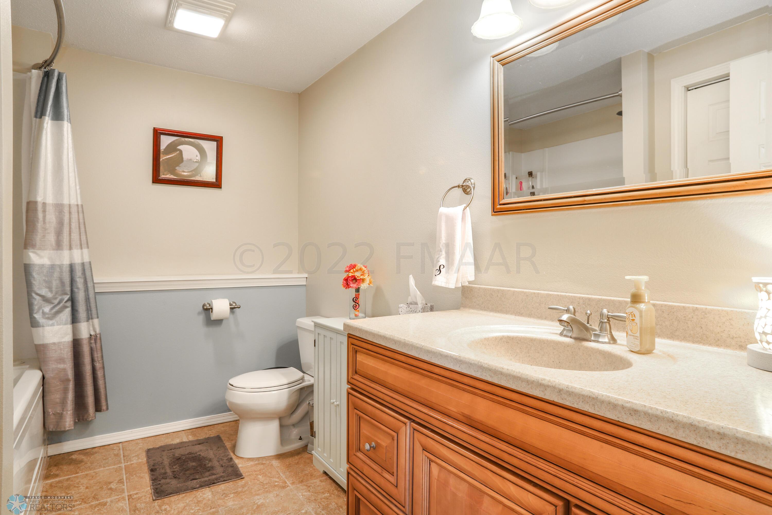 Lower level bathroom