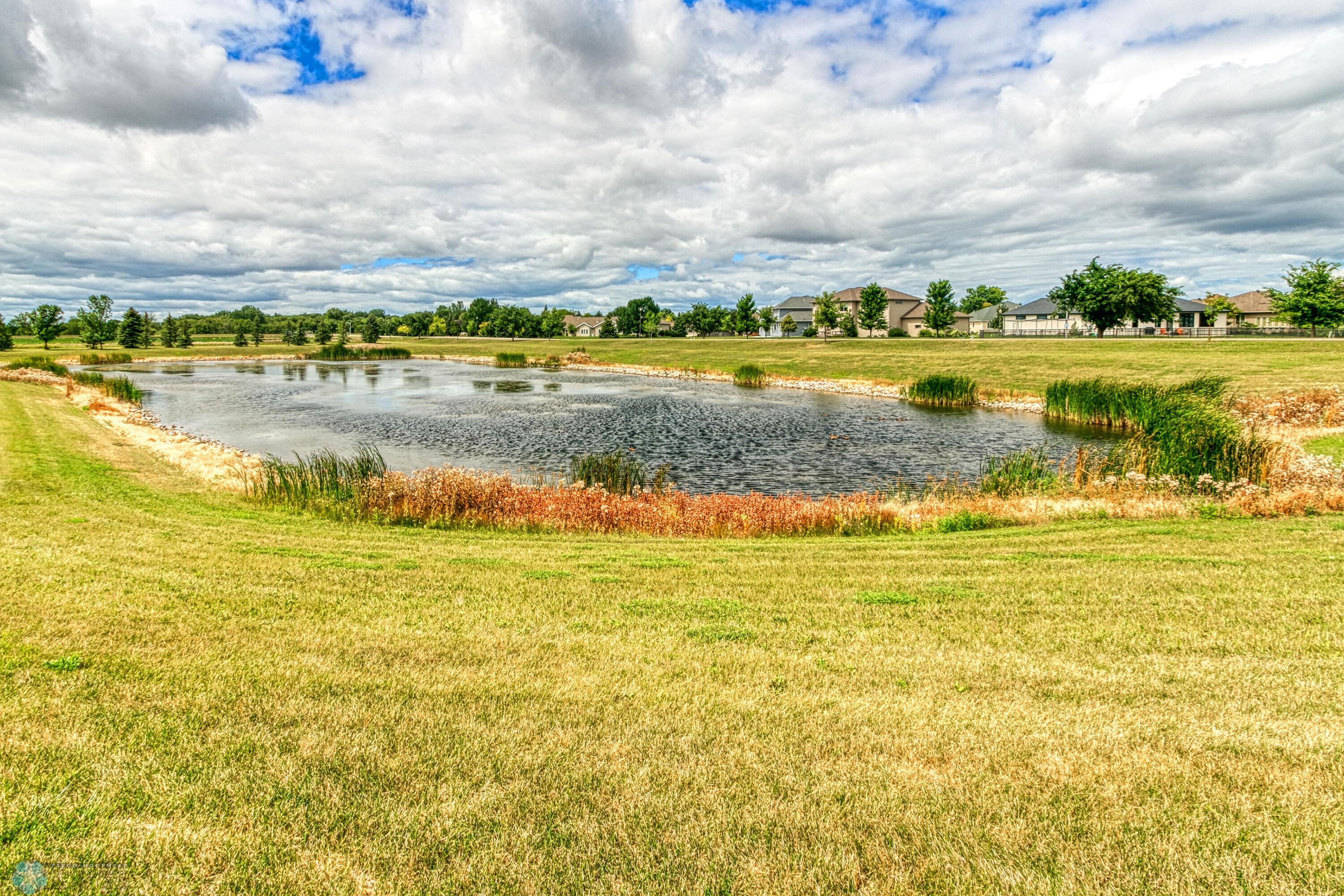 Pond view