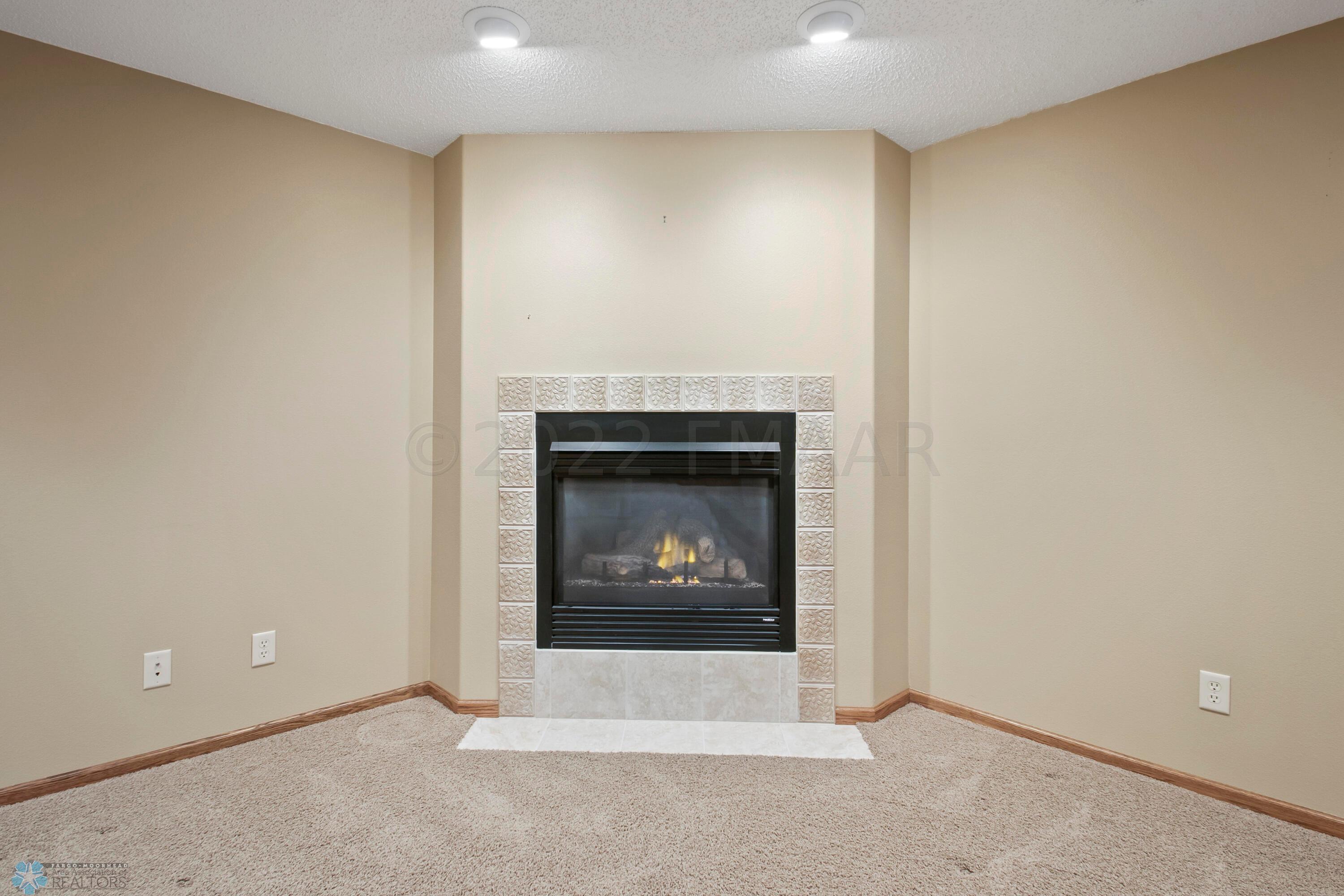 Lower level family room fireplace