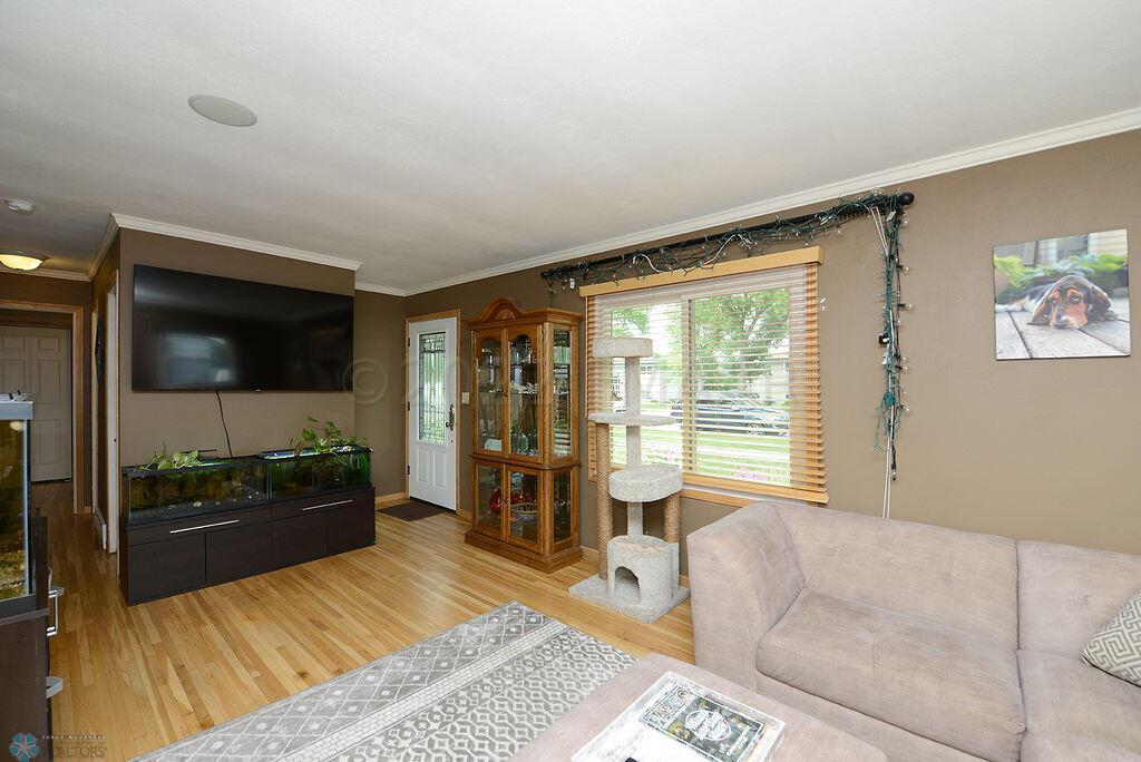 Big Bright Living Room