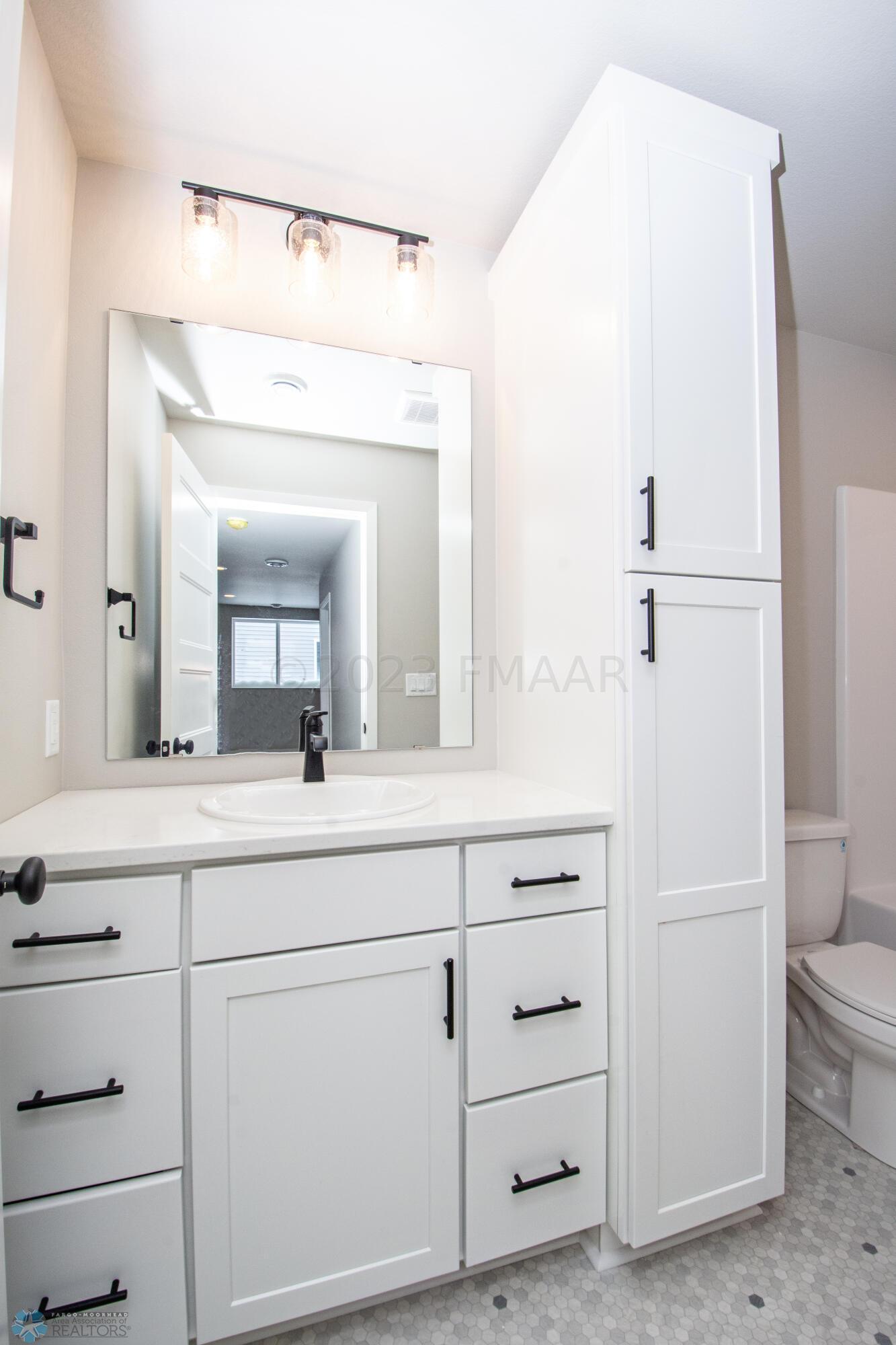 Lower Level Bathroom