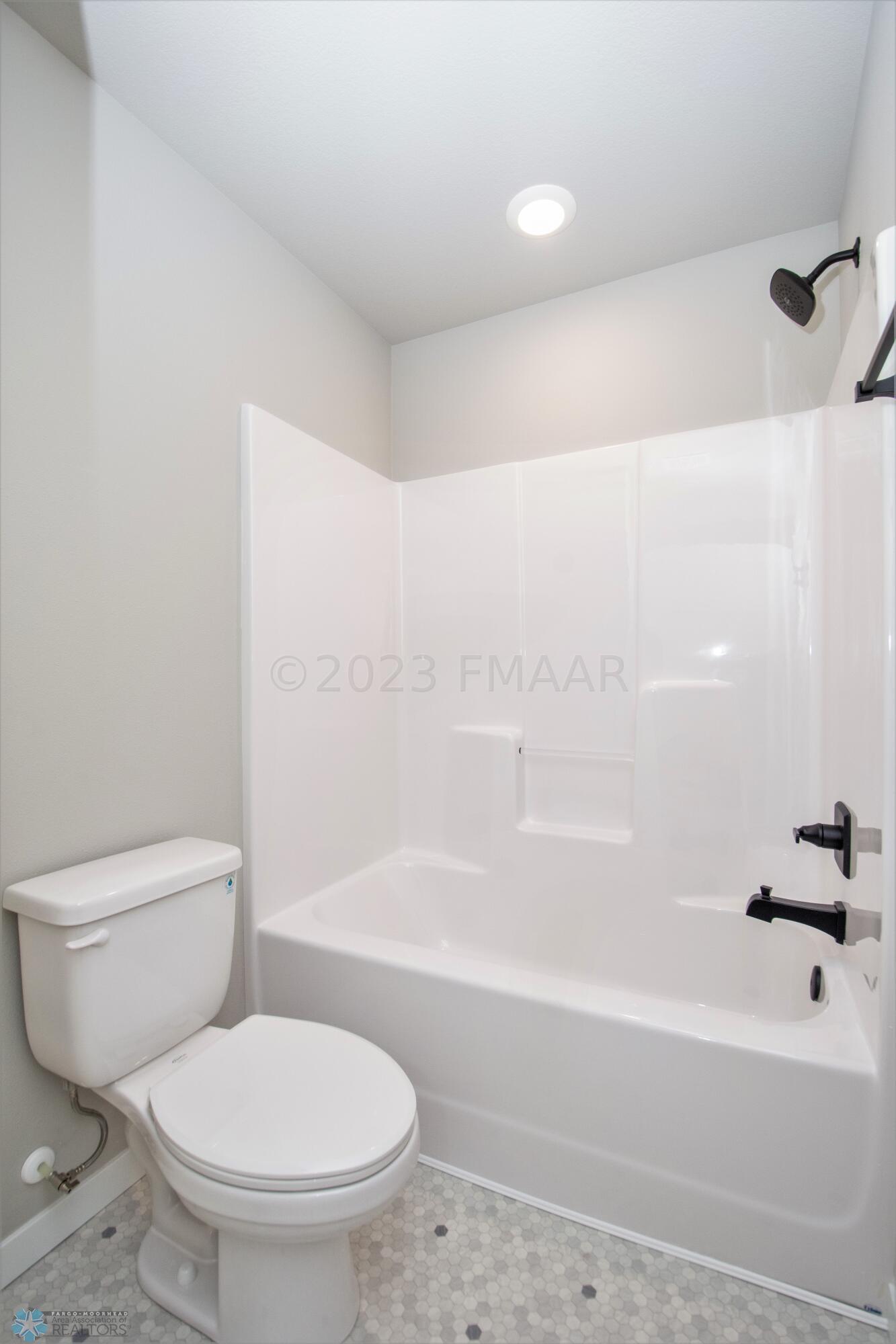 Lower Level Bathroom