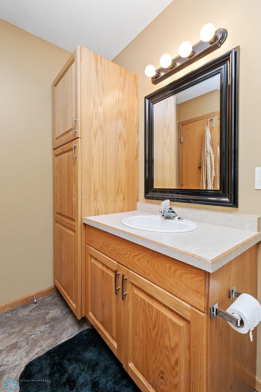 Lower level bathroom
