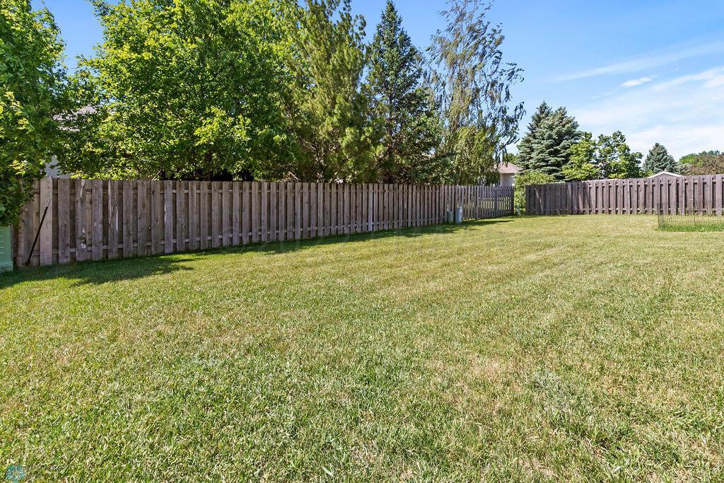 Back yard