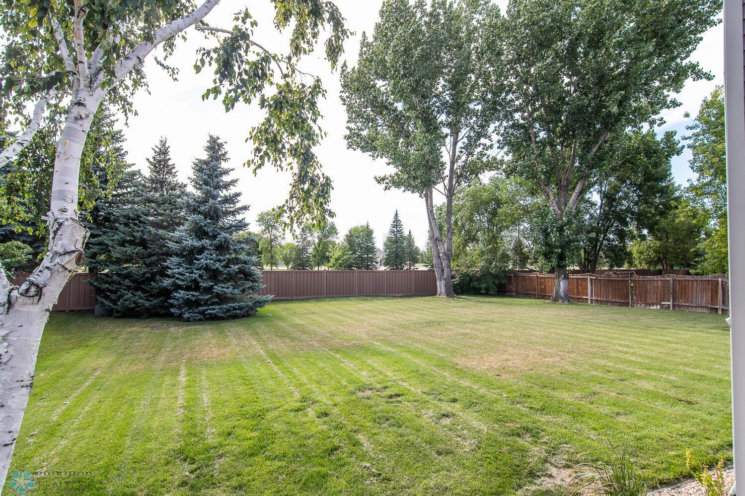 Back yard