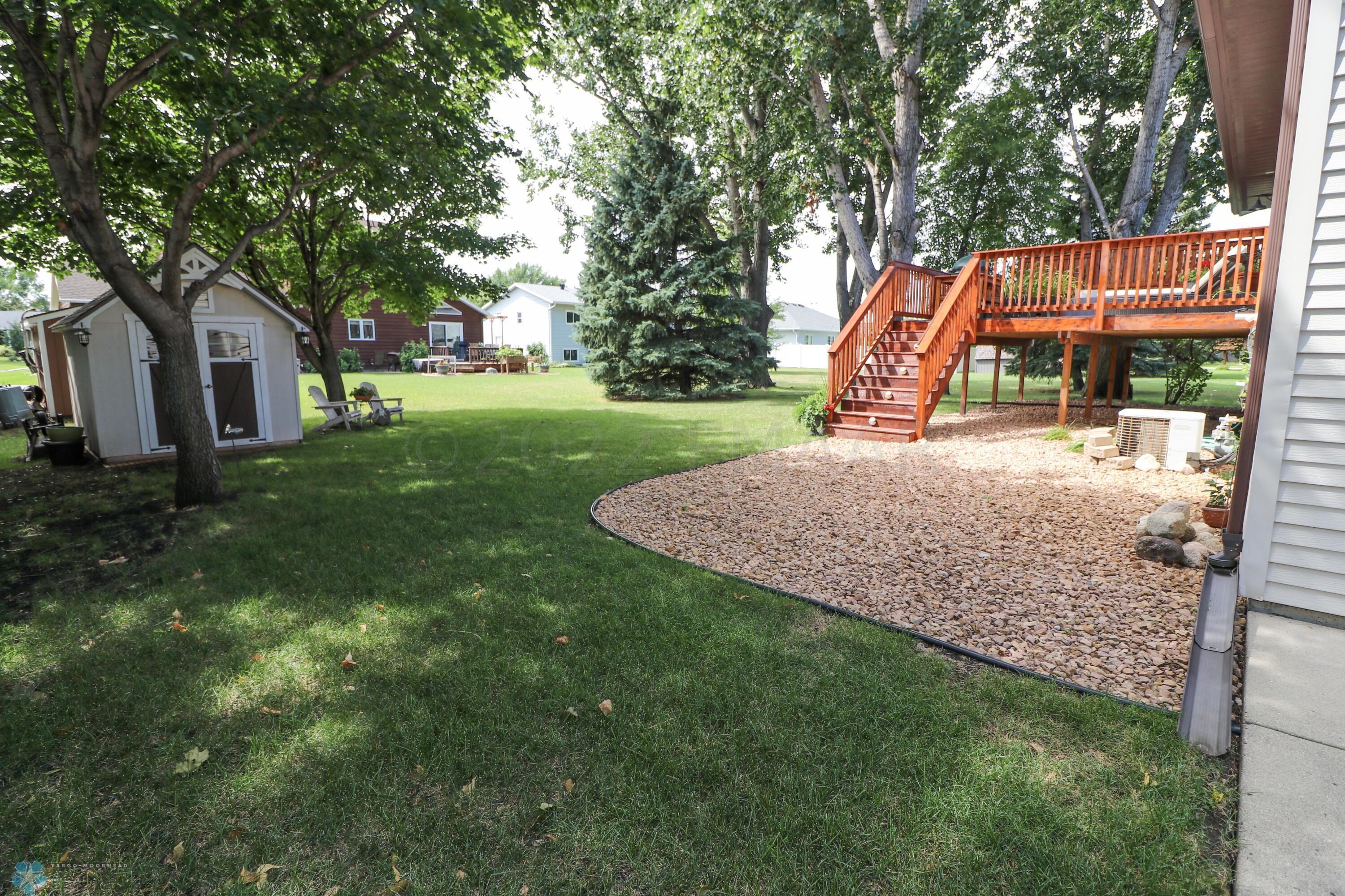 Back yard