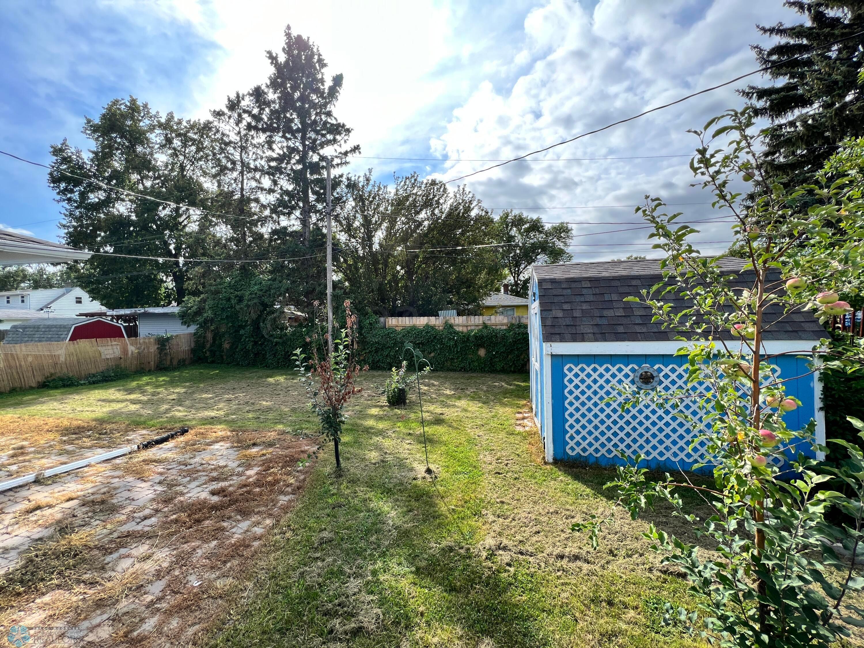 Backyard with apple tree