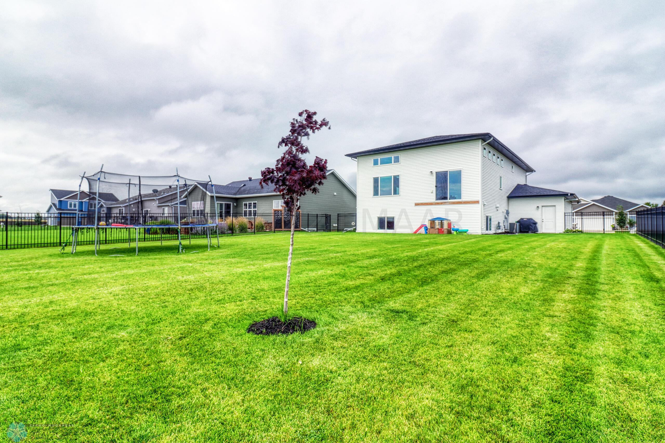 Backyard1_2
