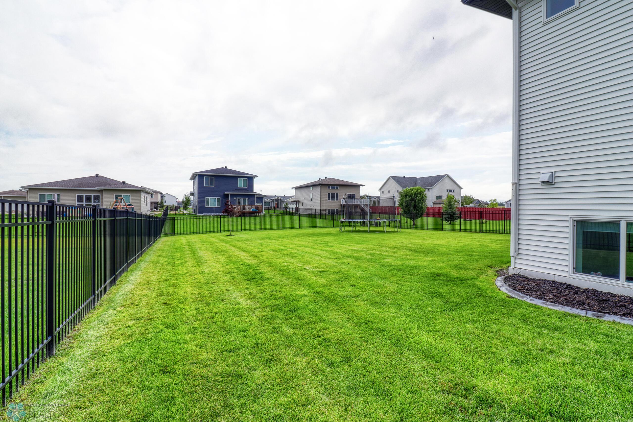 Backyard1_3