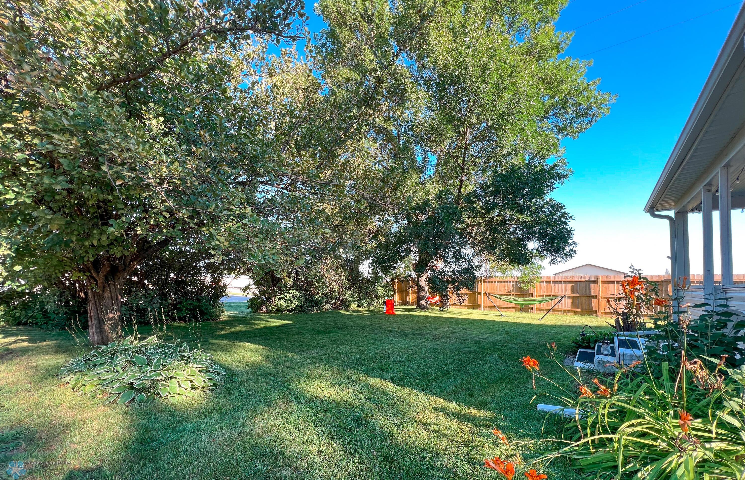 Front Yard