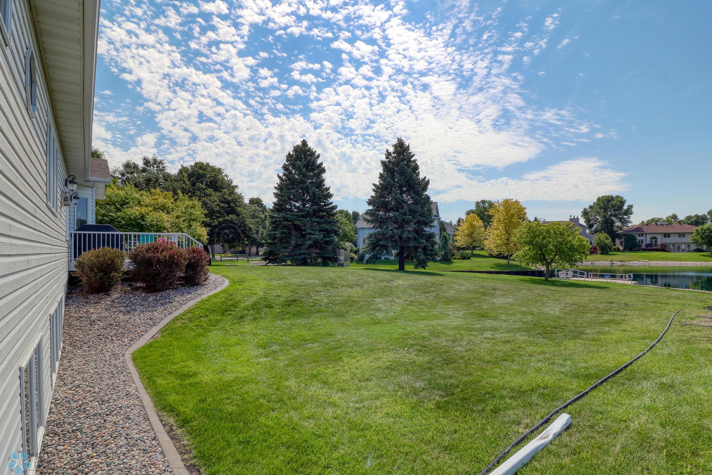 Backyard1_2