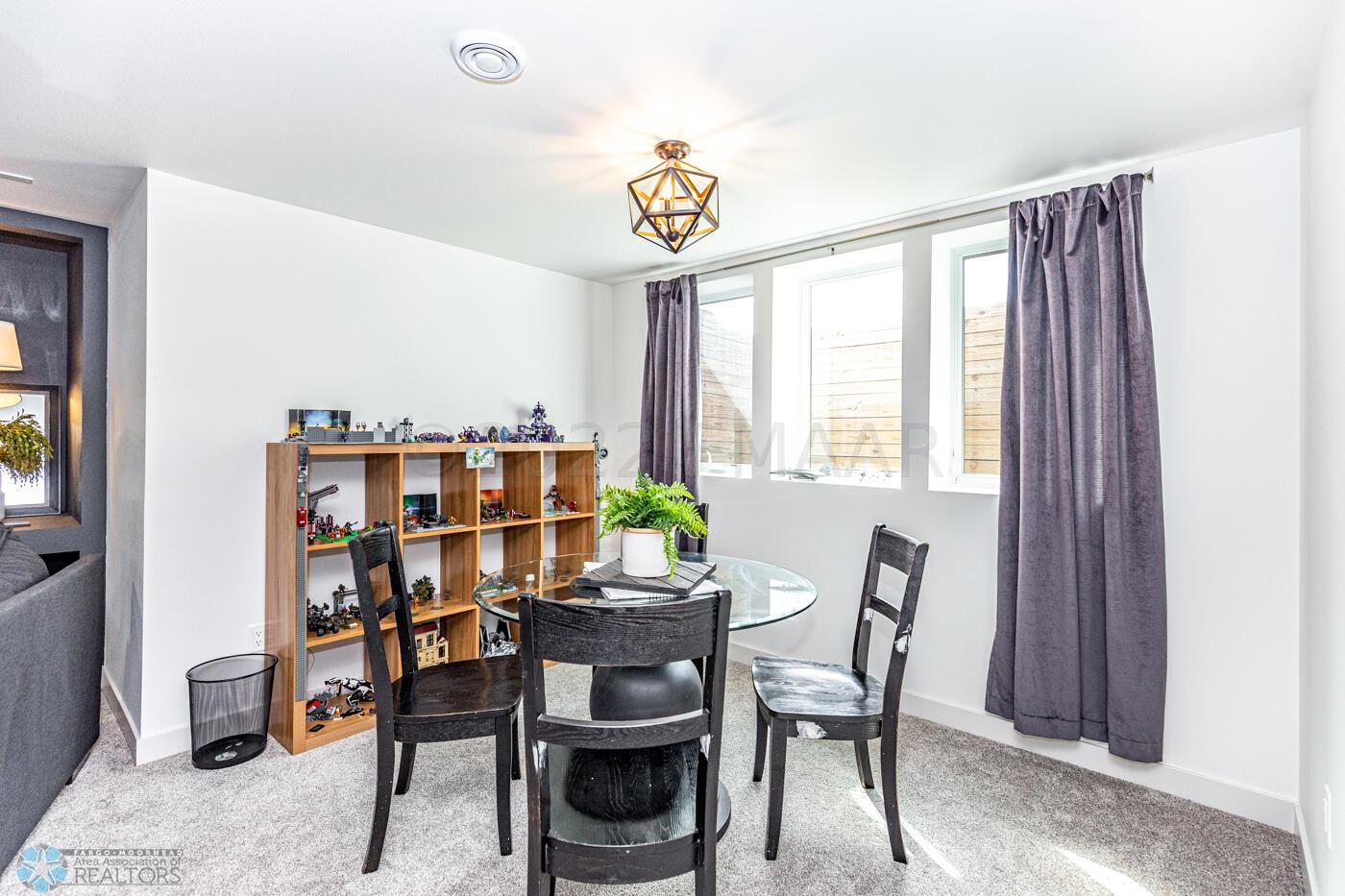 Basement Family room