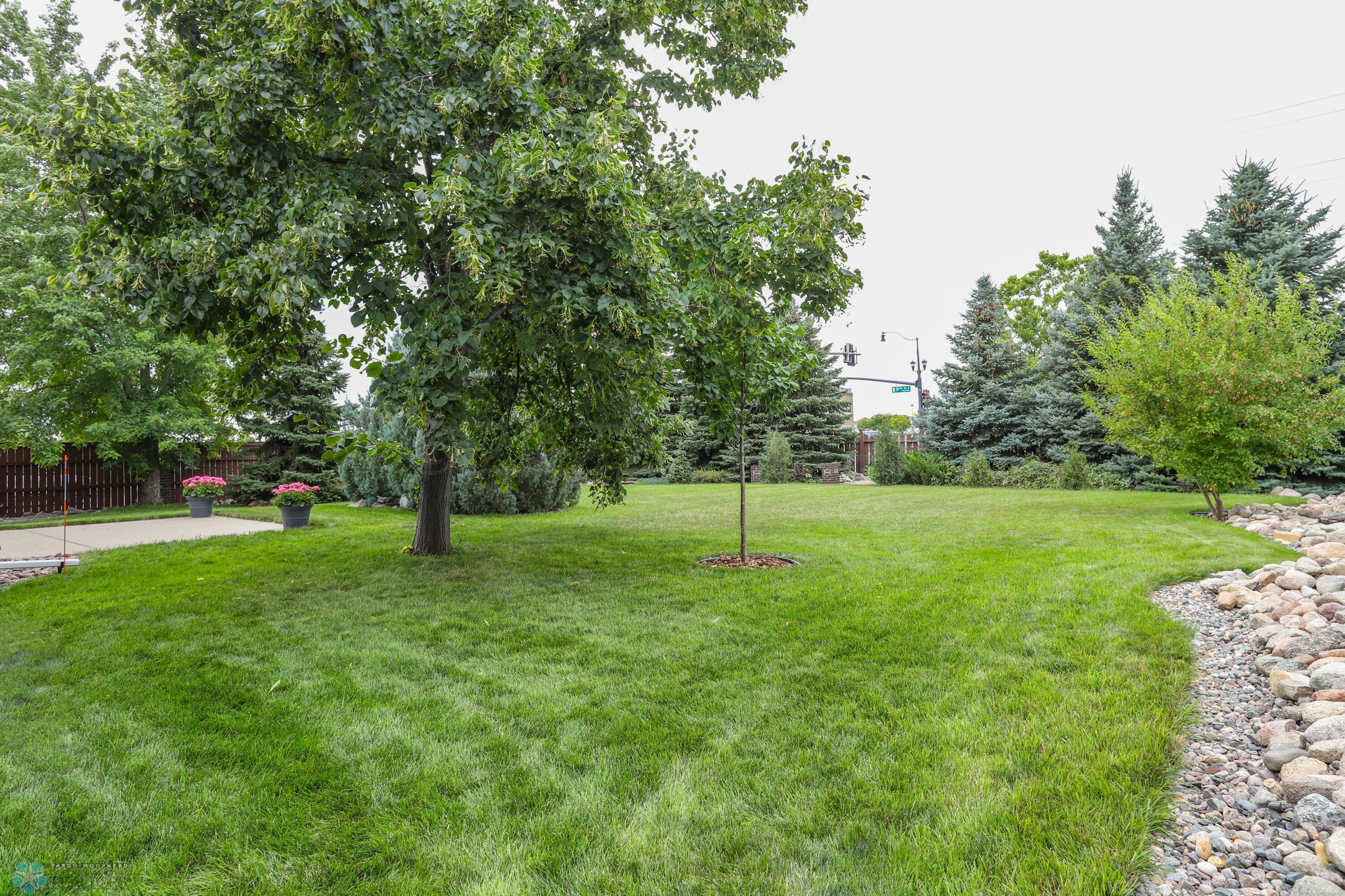 image10