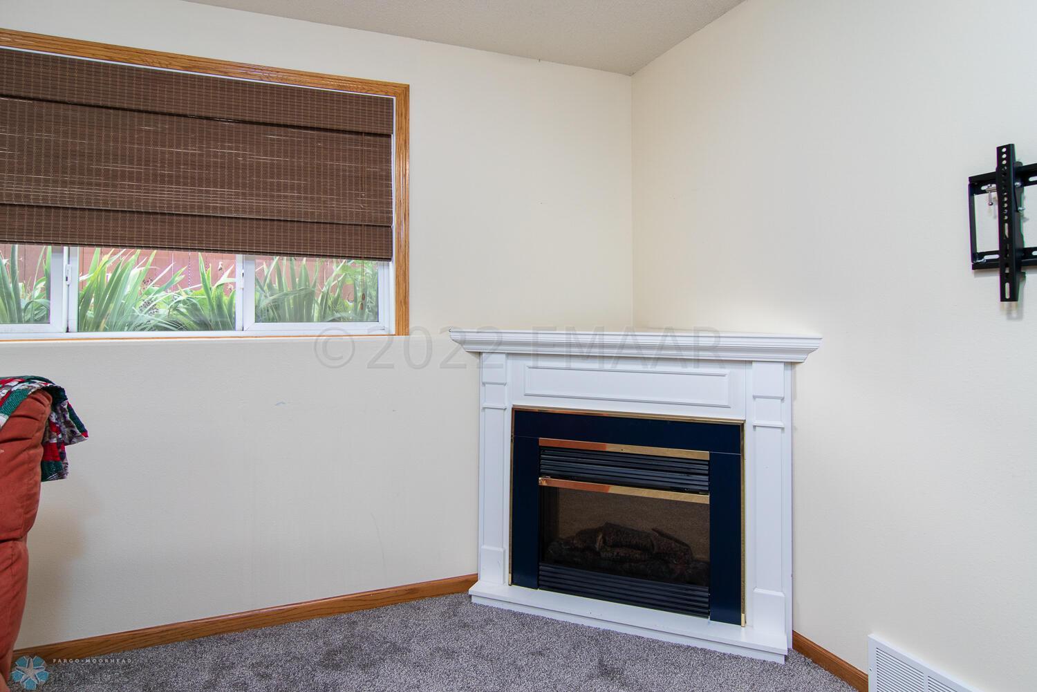 Electric Fireplace