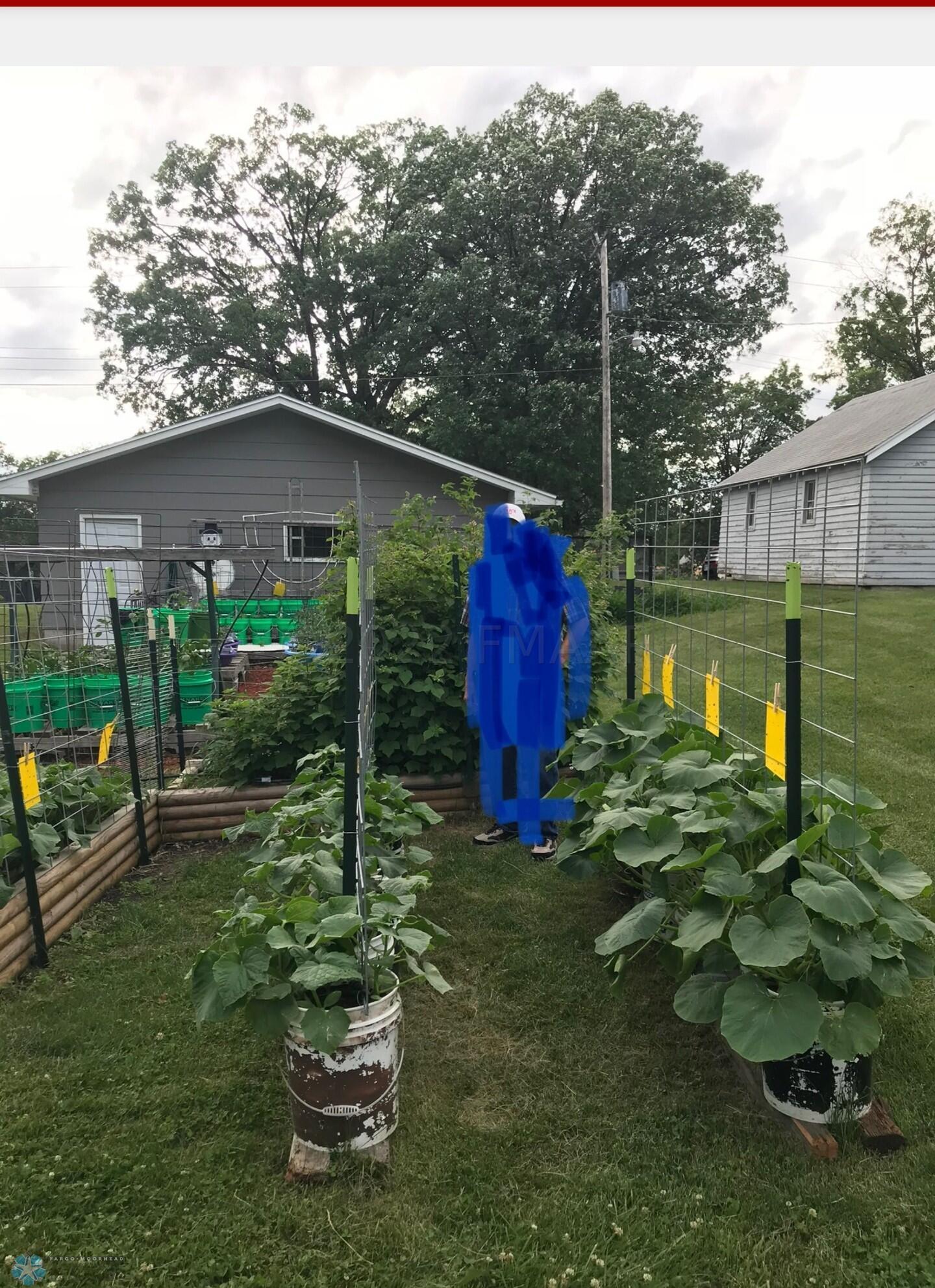 Garden from previous year