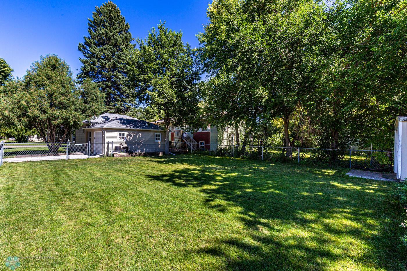 Backyard 1