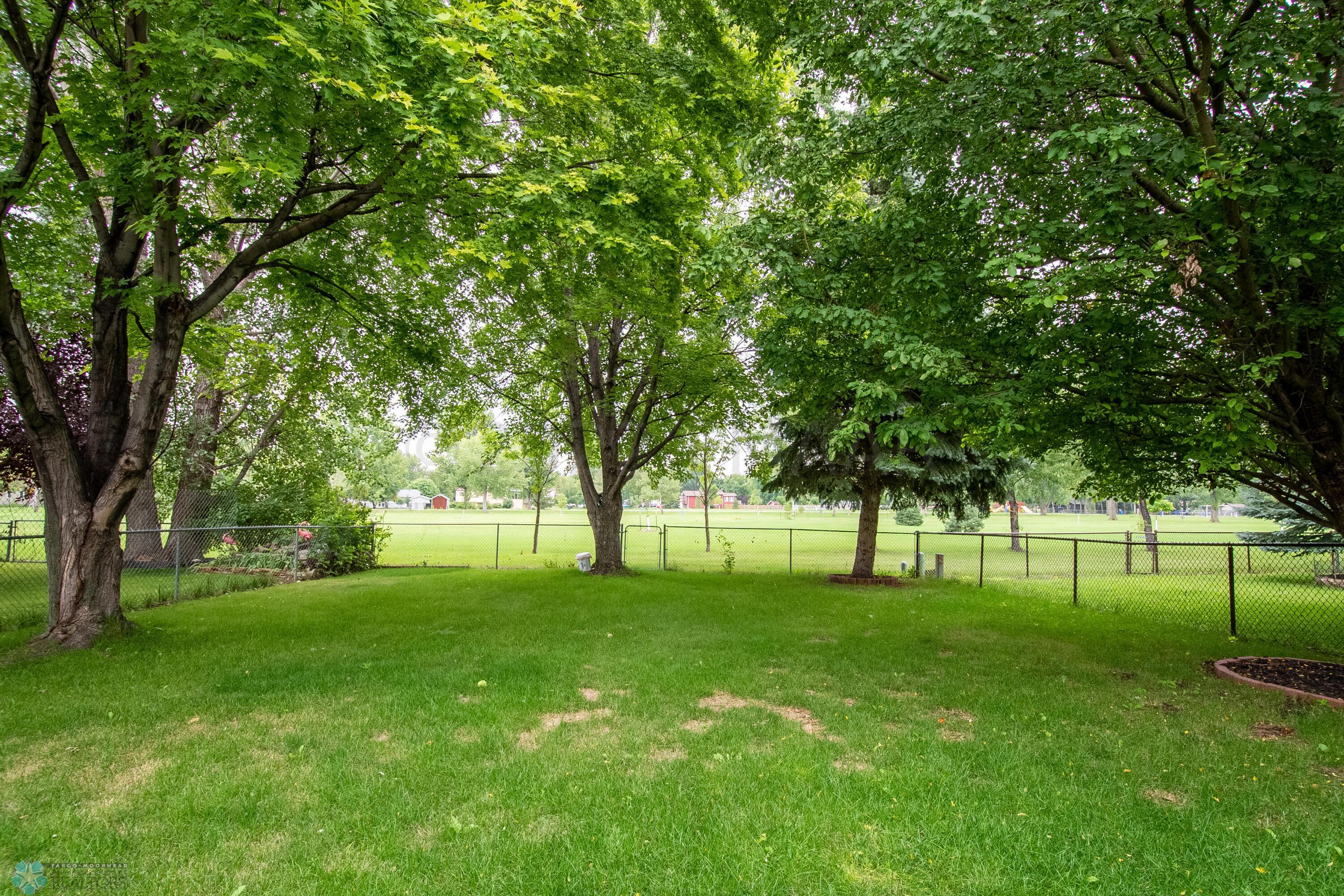 Backyard Views