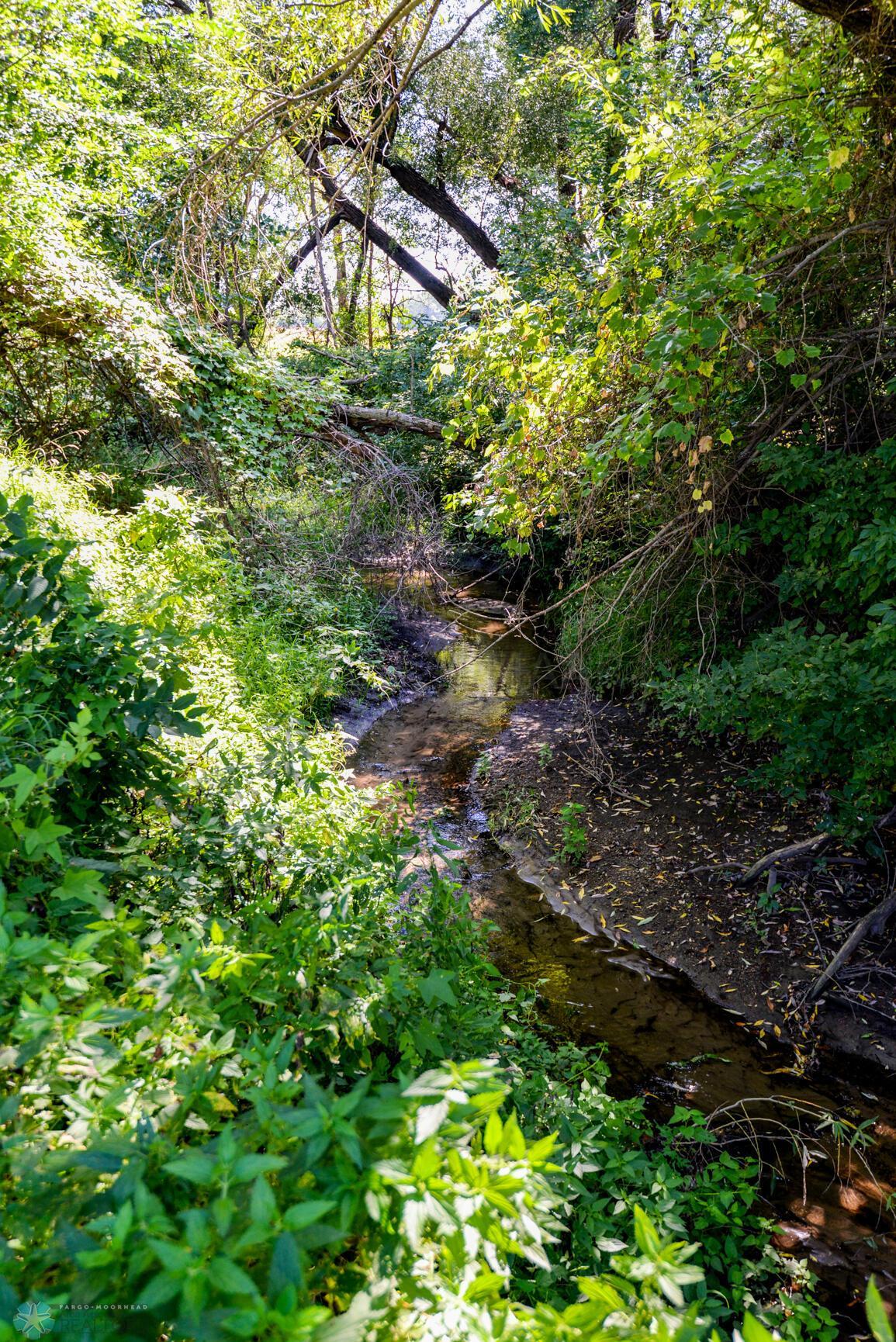 Creek on property