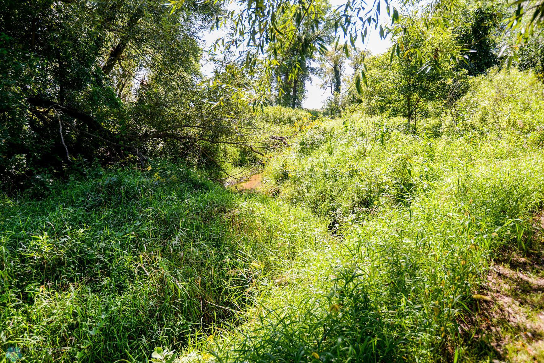 Creek on property