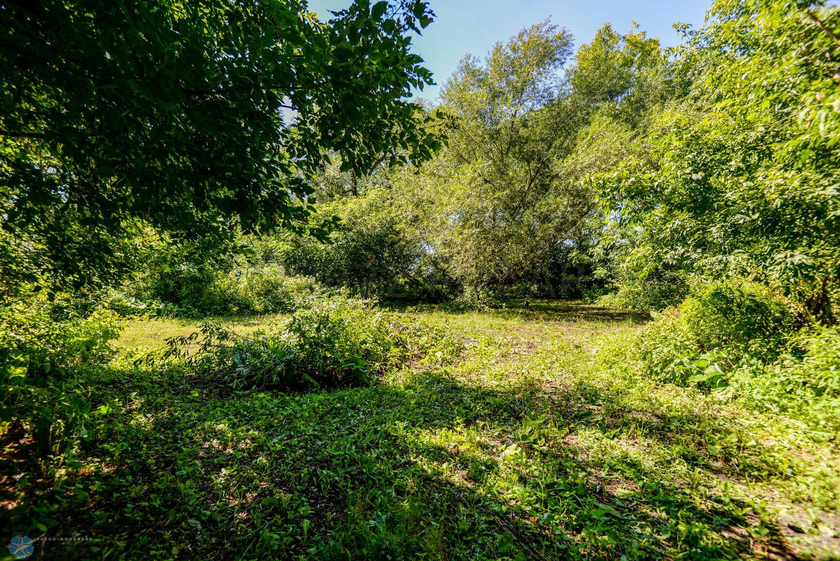 Wooded Area