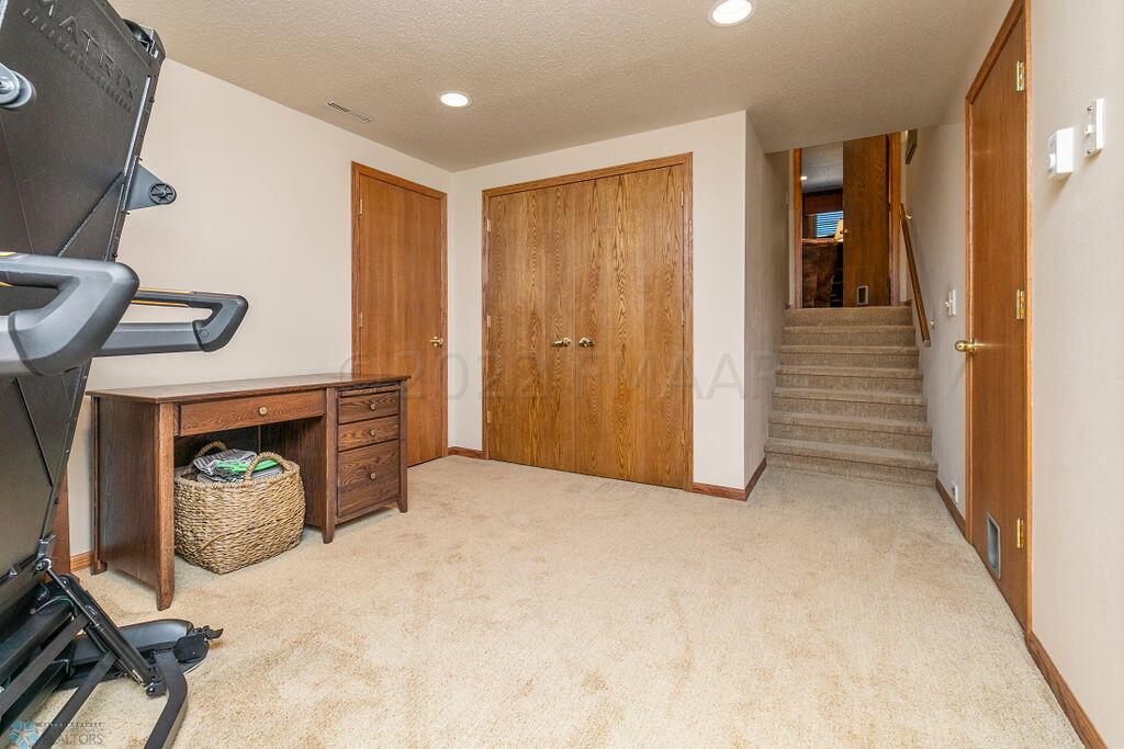 Basement Family Room