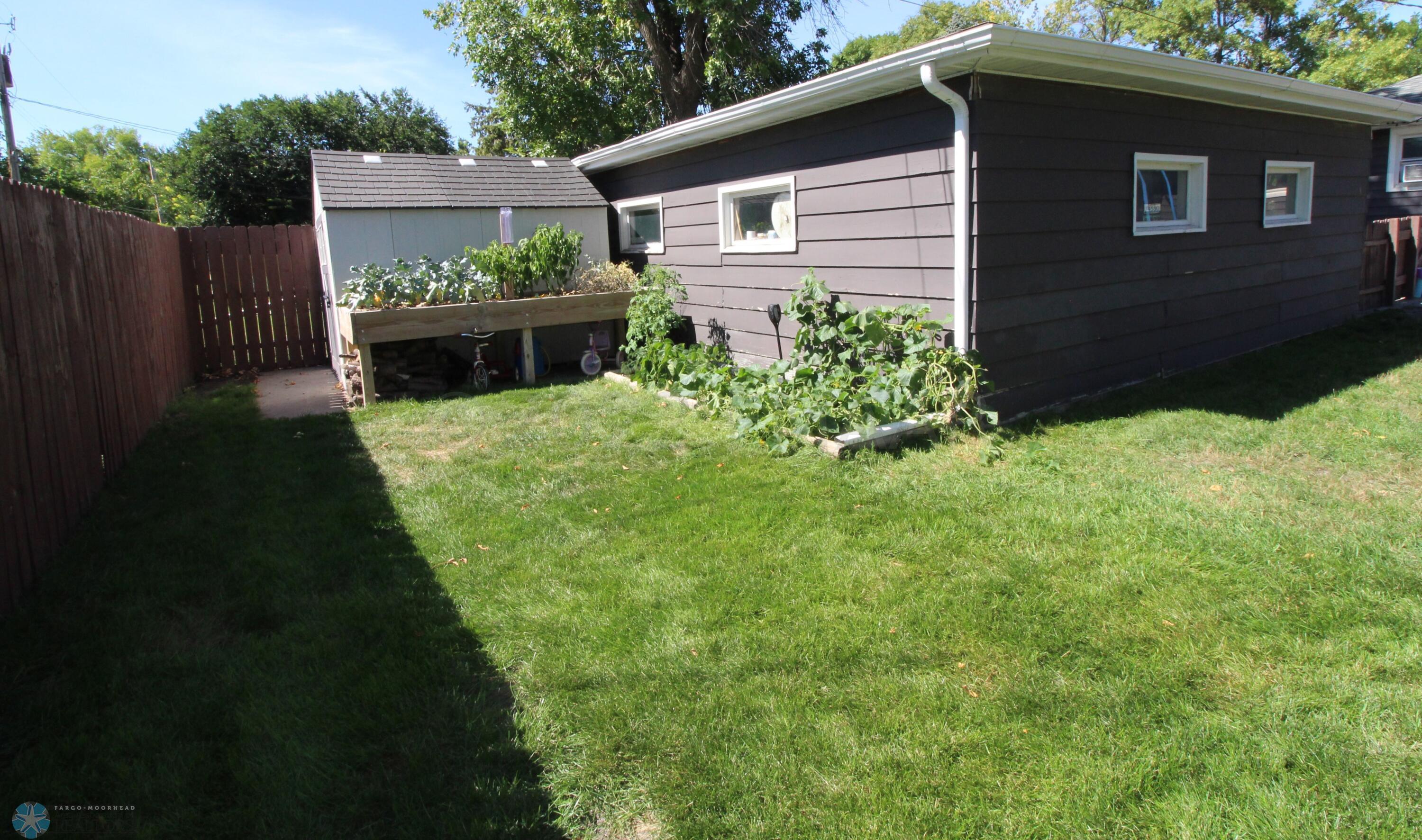 Back Yard2
