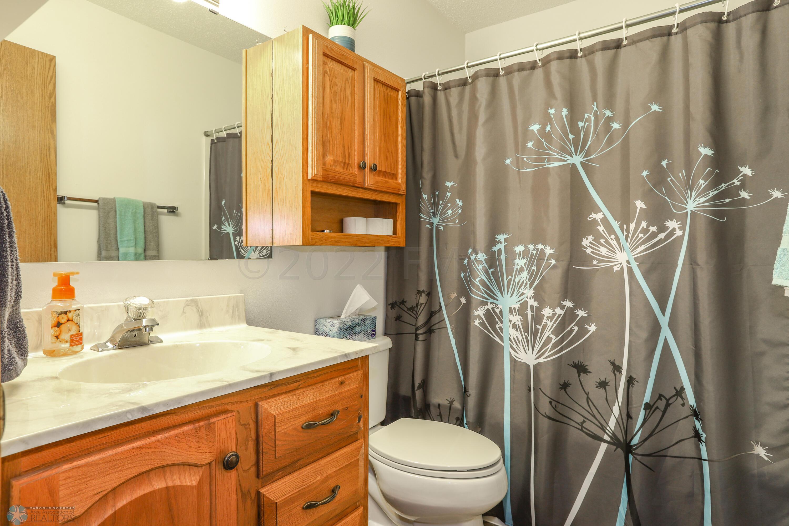 Lower Level Bath