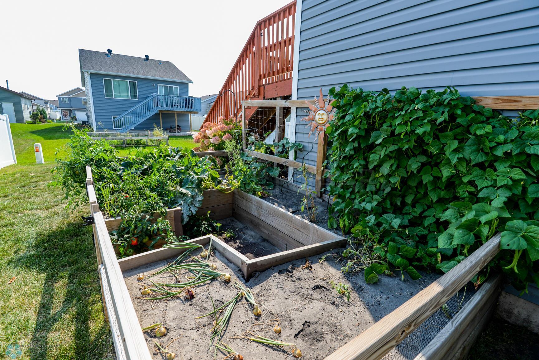 Raised Garden