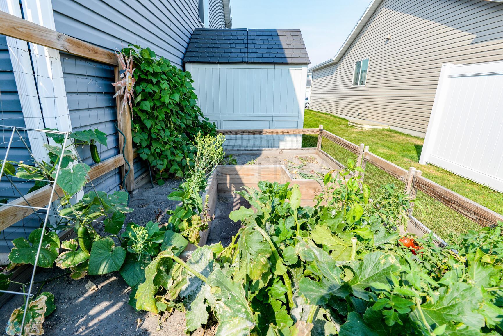 Raised Garden