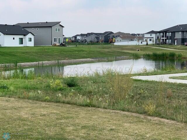 Pond