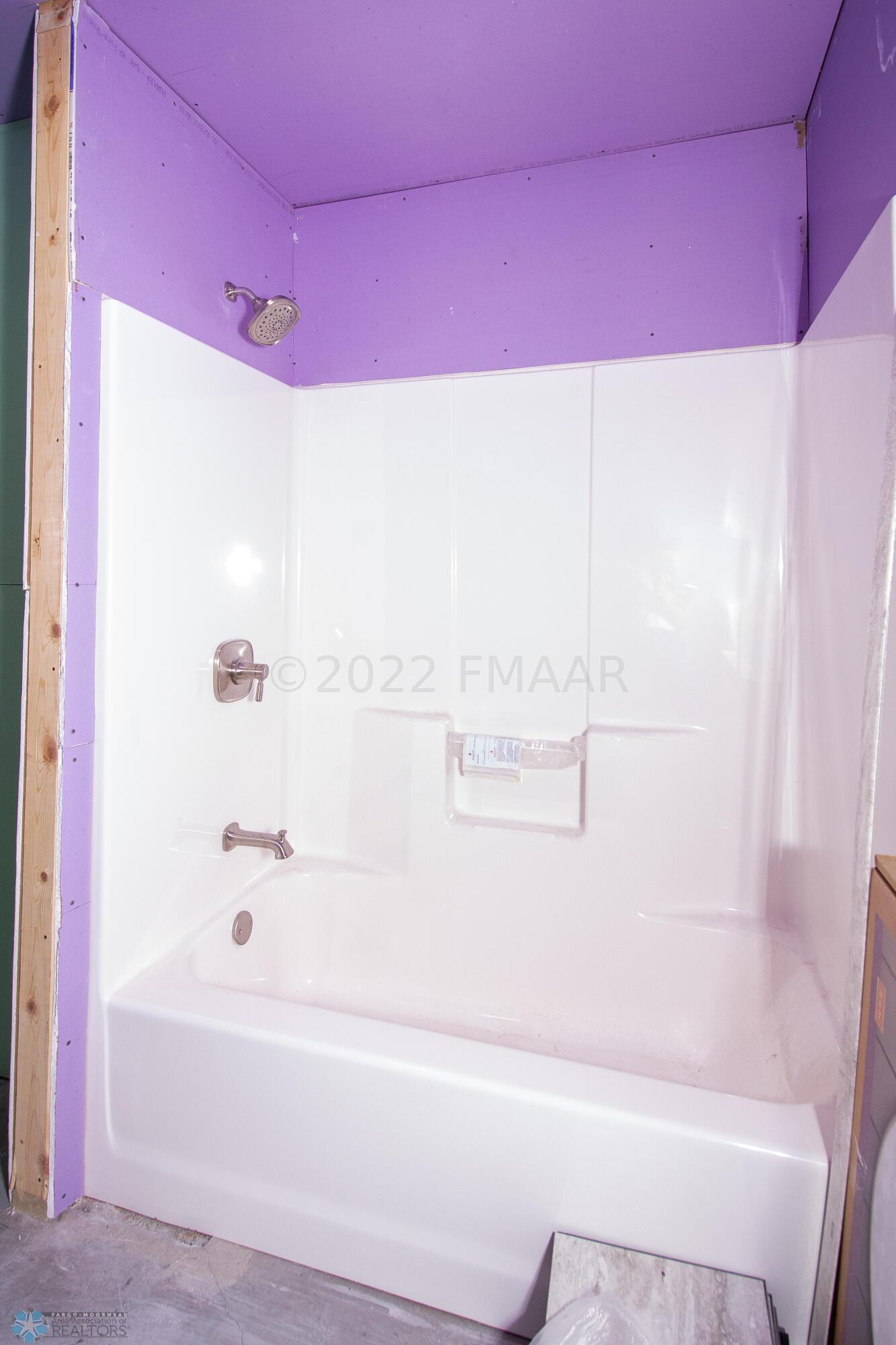 Basement Bathroom