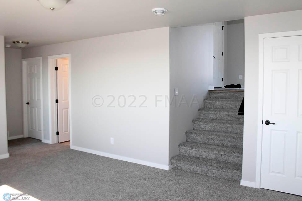 Lower Level Staircase