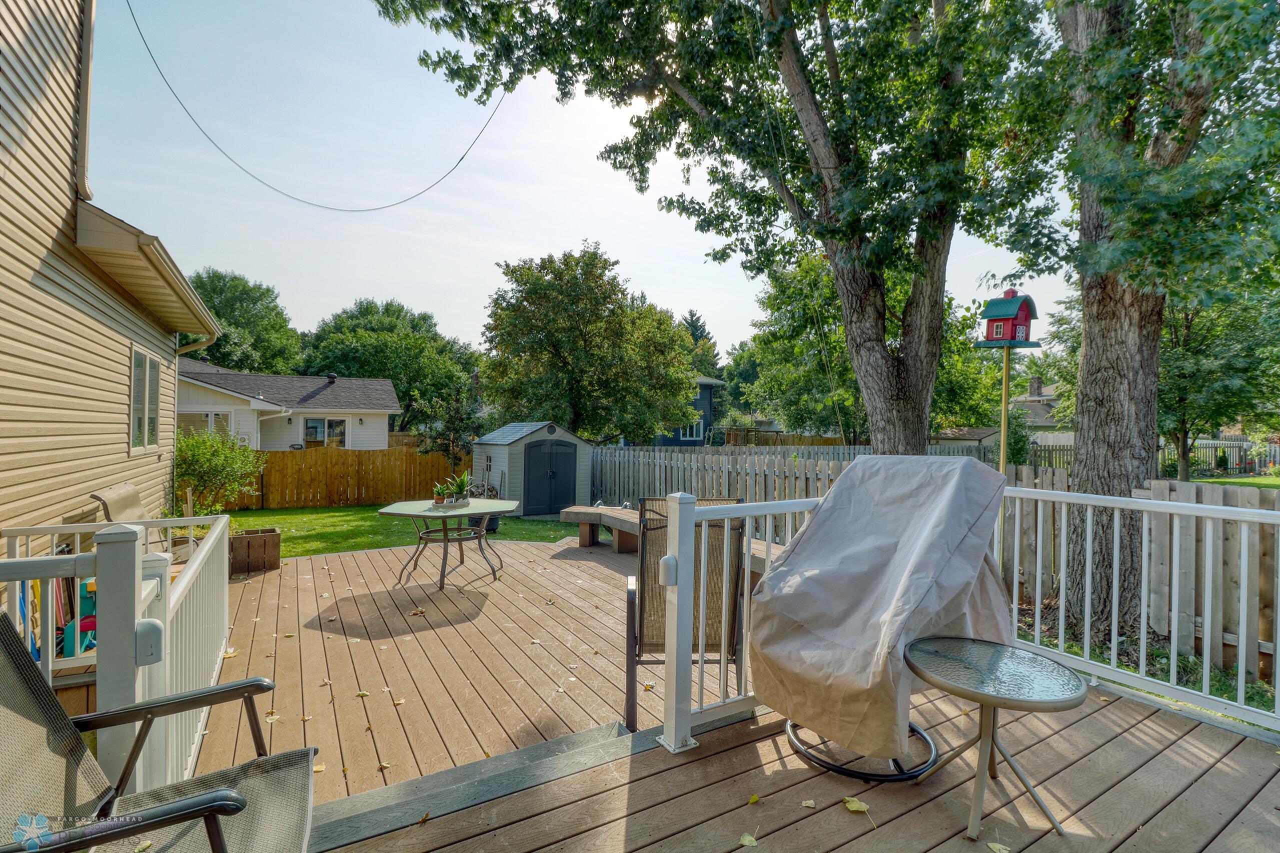 Backyard1_3