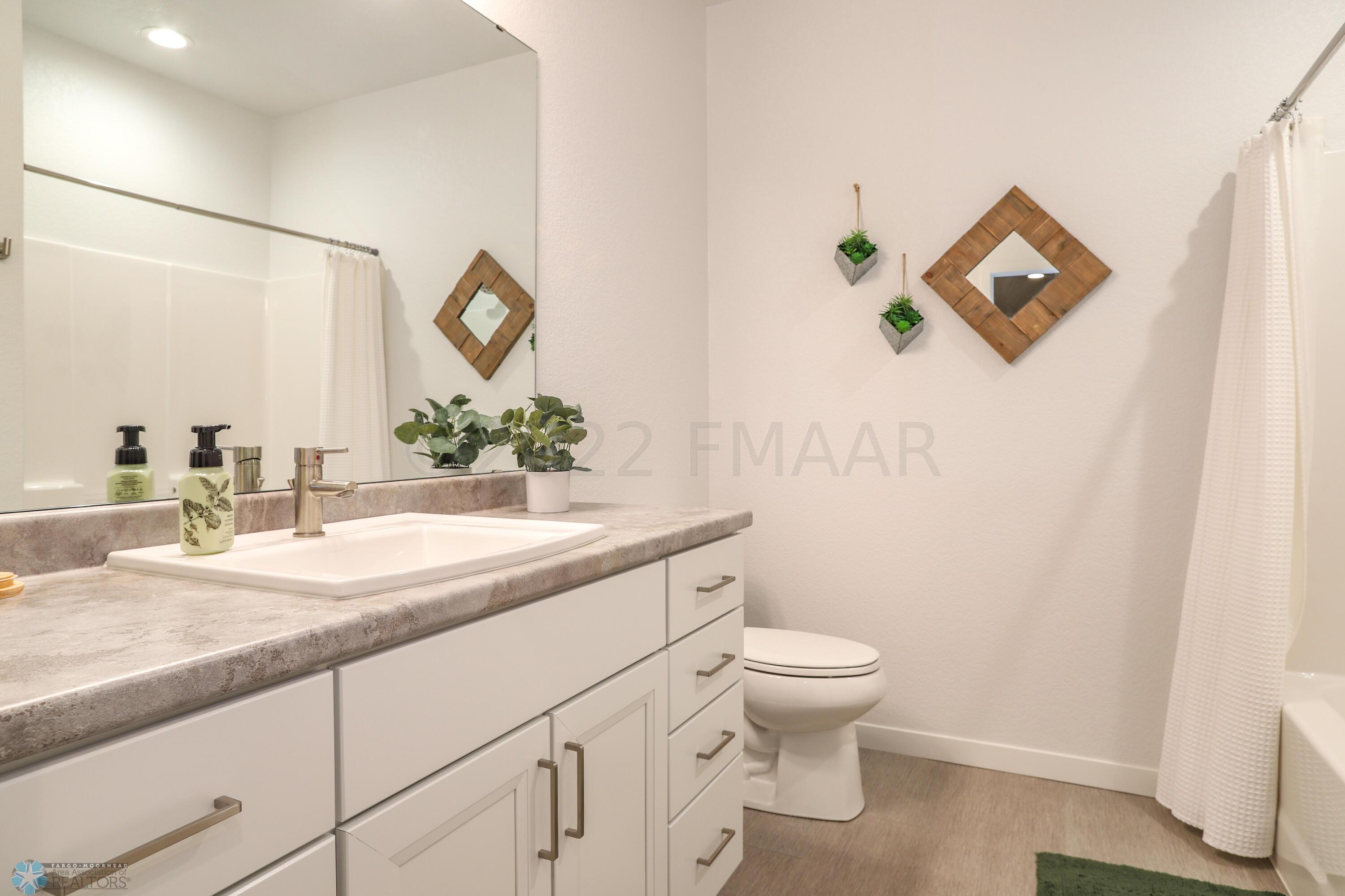 Lower Level Bathroom