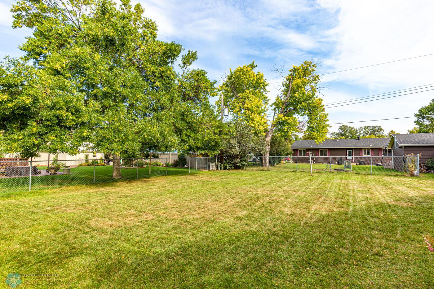 Big backyard