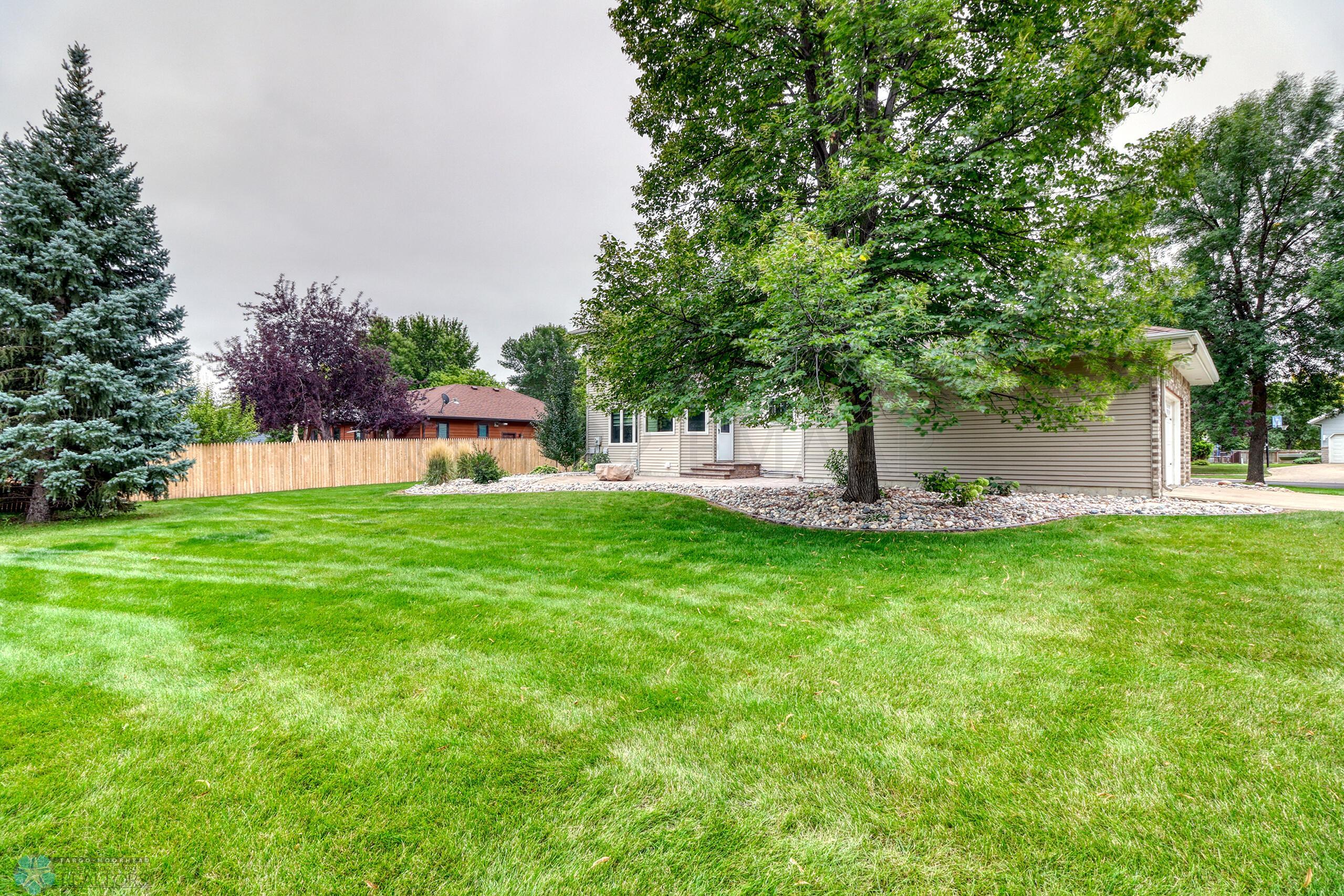 Backyard1_3